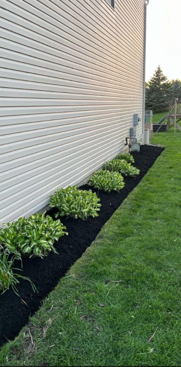 Summer lawn and garden bed