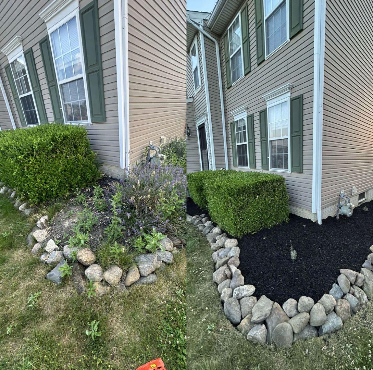 Overgrown bed rescue: before (left) and after (right)